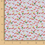 Patchwork de coton cerise vichy clair - Ribes y Casals