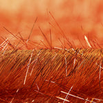 Poils Métallisé Orange Cuivre - Ribes y Casals