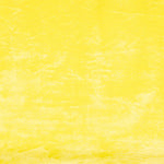 Poussin jaune aux cheveux courts - Ribes y Casals