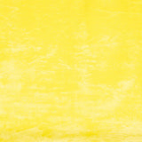 Poussin jaune aux cheveux courts - Ribes y Casals