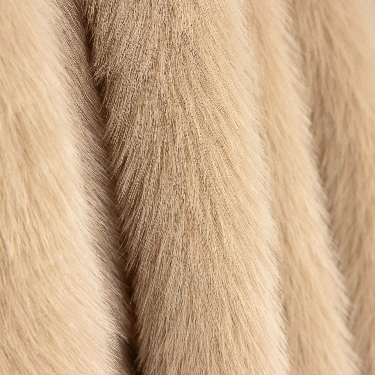 Pelo Sugar Beige - Ribes y Casals