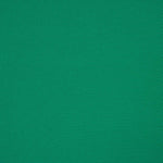 Piqué Poliéster Verde - Ribes y Casals