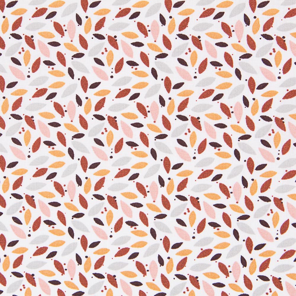 Coton Multicolore - Ribes y Casals