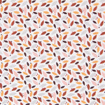 Coton Multicolore - Ribes y Casals