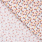 Coton Multicolore - Ribes y Casals