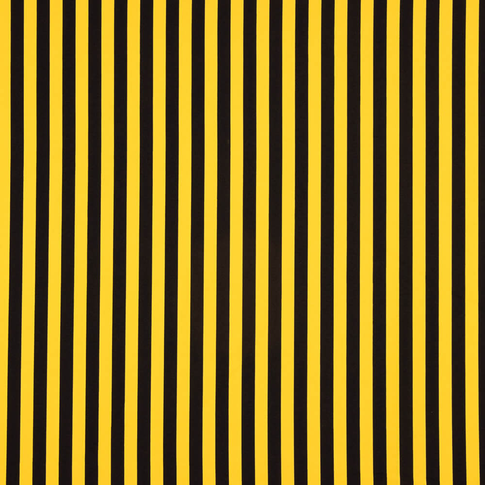 Plat Bicolore Polyester Jaune-Noir - Ribes y Casals