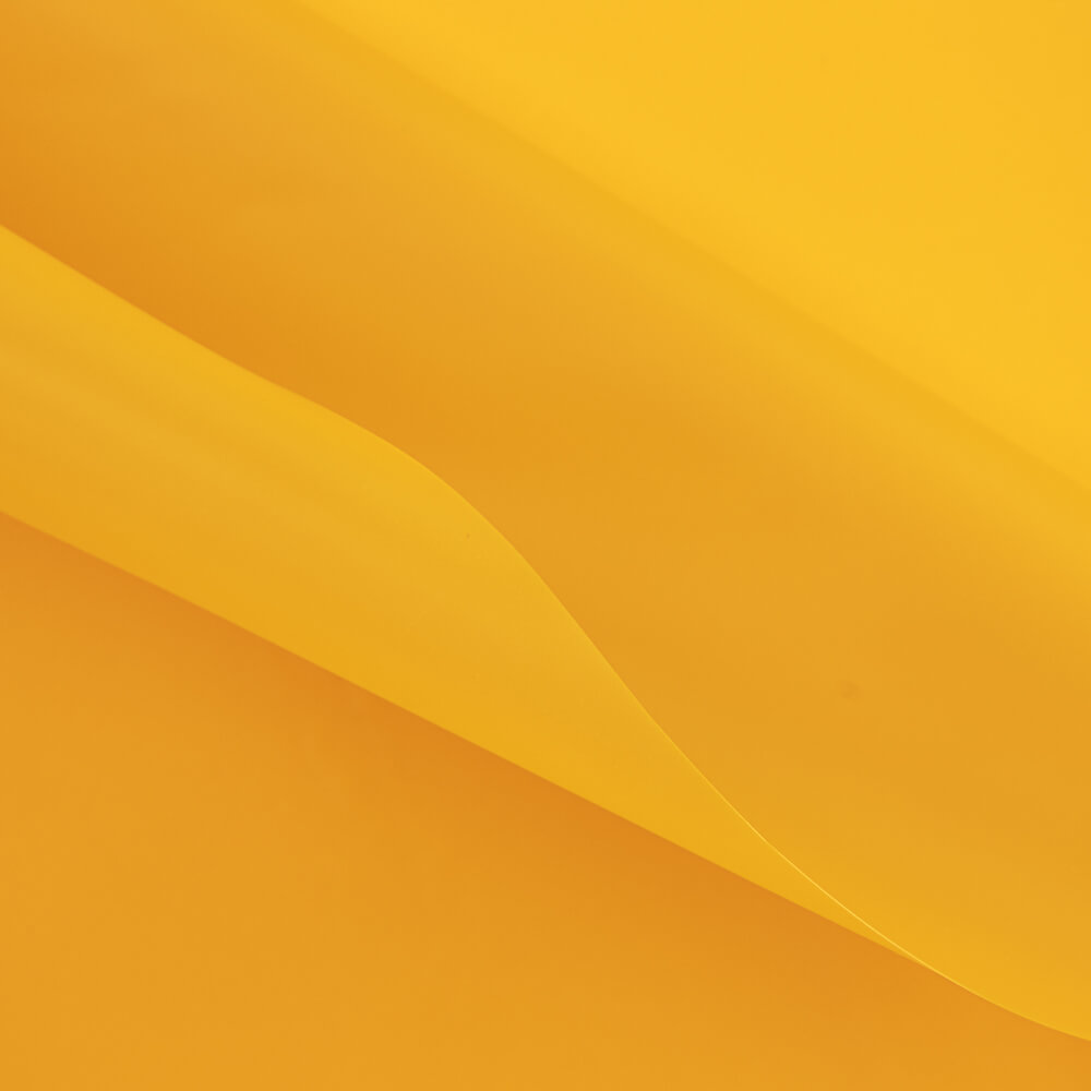 Imperméable Fin Jaune Albero - Ribes y Casals