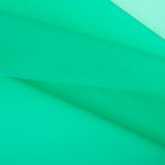 Imperméable Fin Plastique Vert - Ribes y Casals