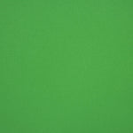 Plat Polyester Vert Chroma 280cm - Ribes y Casals