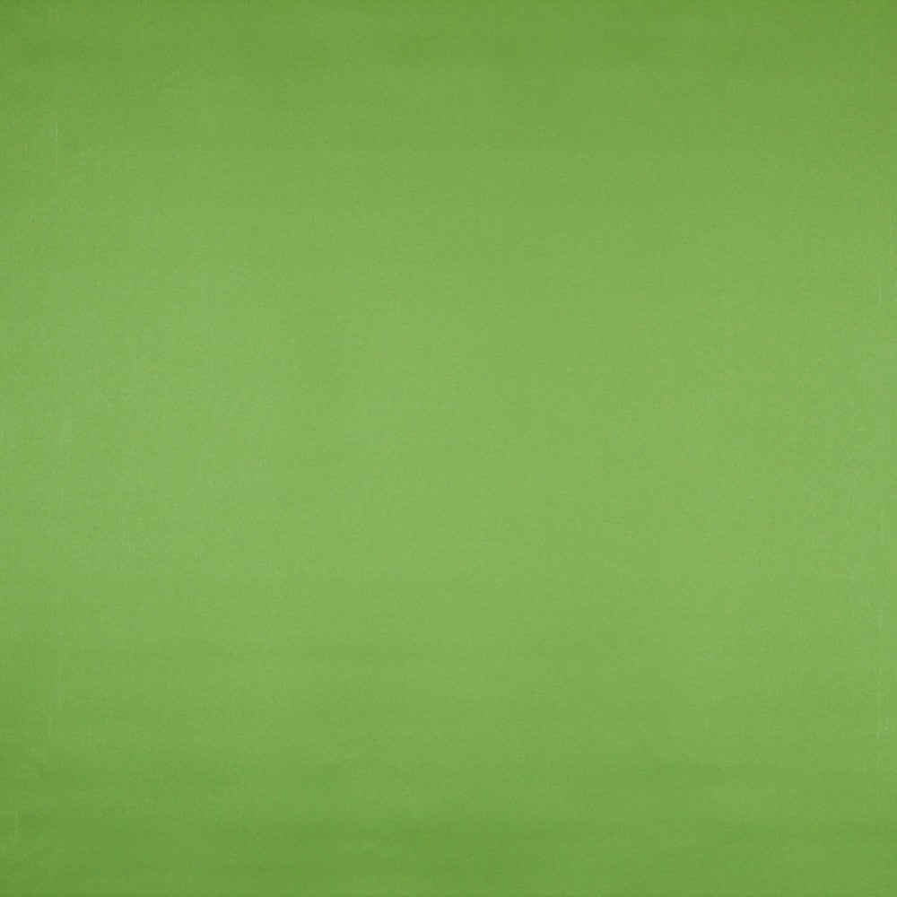Similicuir Nautique Vert - Ribes y Casals