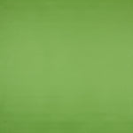 Similicuir Nautique Vert - Ribes y Casals