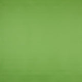 Similicuir Nautique Vert - Ribes y Casals