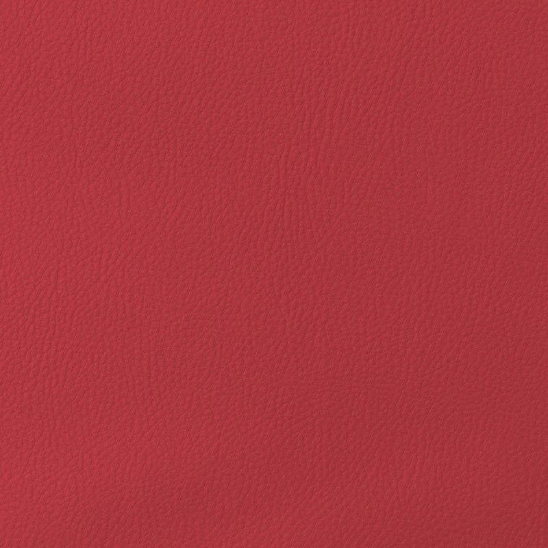 Similicuir pour Tapisser Fuchsia - Ribes y Casals