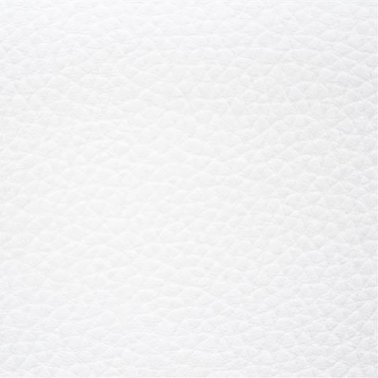 Similicuir Tapisserie Blanc - Ribes y Casals