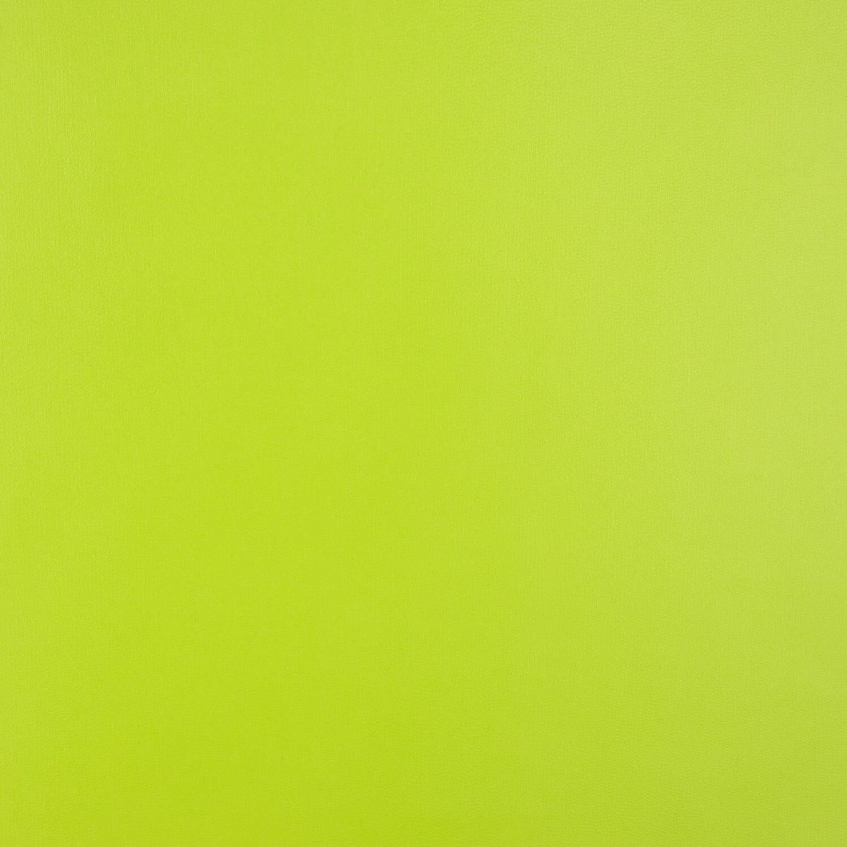 Simili cuir basique vert - Ribes y Casals