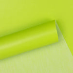 Simili cuir basique vert - Ribes y Casals