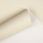 Faux cuir nautique sable - Ribes y Casals