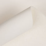 Similicuir Ignifuge White - Ribes y Casals