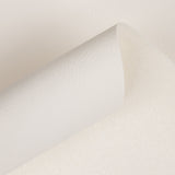 Similicuir Ignifuge White - Ribes y Casals