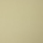 Popeline de coton beige foncé - Ribes y Casals