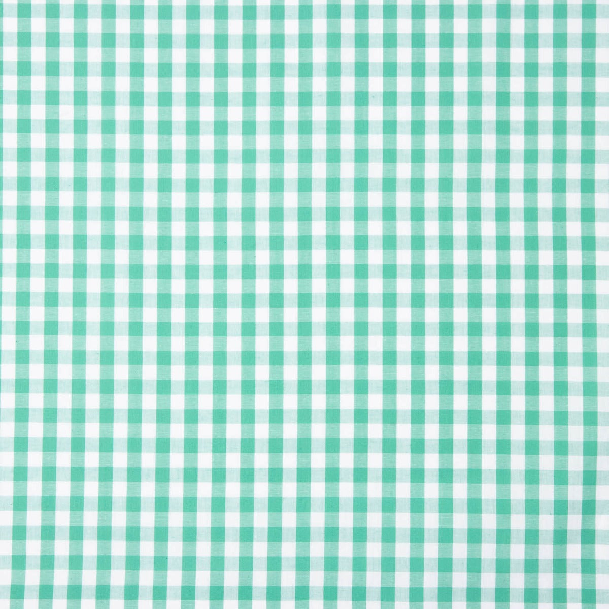 Maxi popeline de coton à carreaux vert aqua - Ribes y Casals