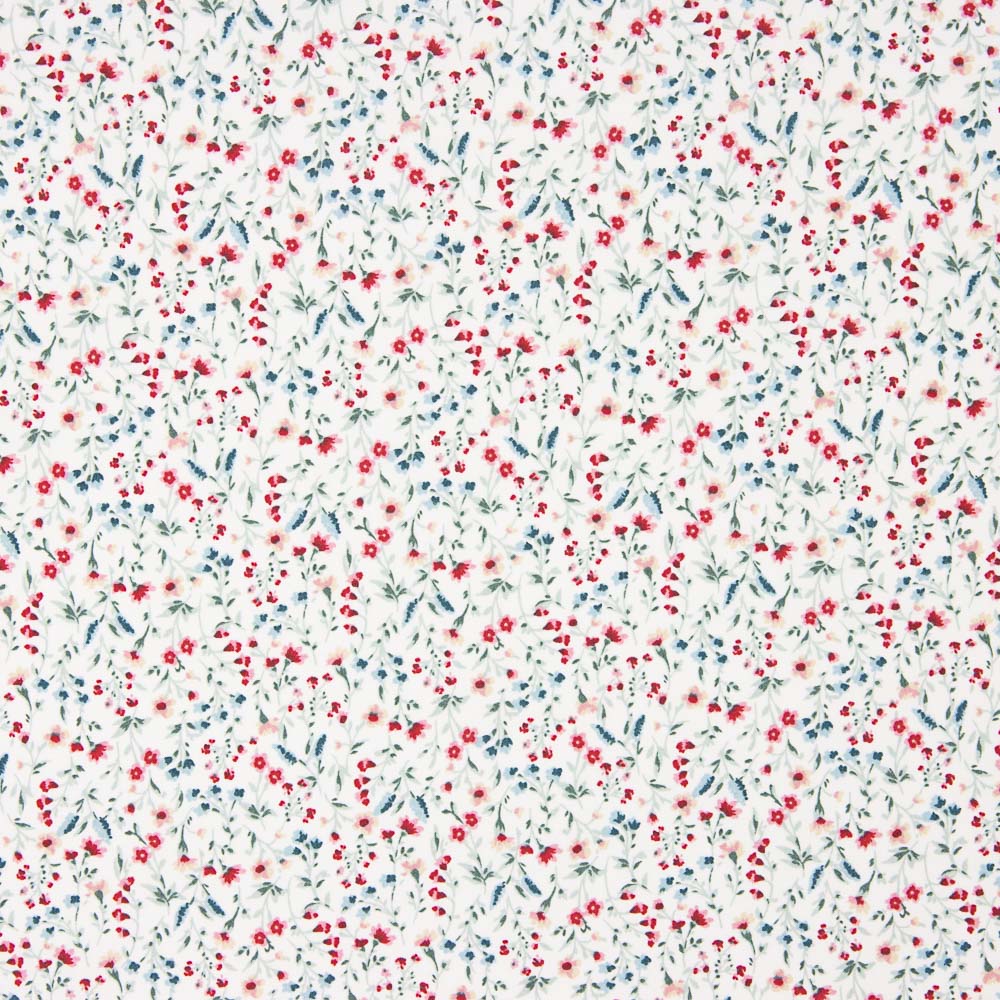 Popeline de coton biologique des Flandres - Ribes y Casals