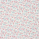 Popeline de coton biologique des Flandres - Ribes y Casals