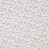 Popeline de coton biologique des Flandres - Ribes y Casals