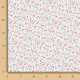 Popeline de coton biologique des Flandres - Ribes y Casals