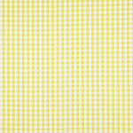 Maxi Picture Enfant en Popeline de Coton Bio Citron Vert - Ribes y Casals