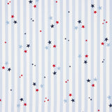 Popeline  Coton BIO Vichy Stars - Ribes y Casals