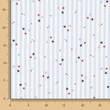 Popeline  Coton BIO Vichy Stars - Ribes y Casals