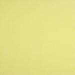 Popeline Enfant Coton Bio Mini Rayure Citron Vert - Ribes y Casals