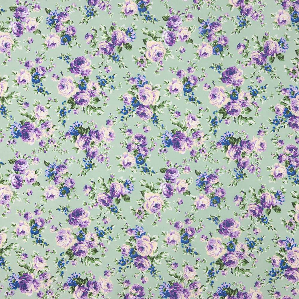 Popeline Imprimé Flamenco Cretonne Bleu Fond Vert Clair - Ribes y Casals