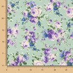 Popeline Imprimé Flamenco Cretonne Bleu Fond Vert Clair - Ribes y Casals