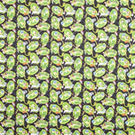 Popelín Licencia Rick And Morty Verde - Ribes y Casals