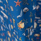 Popeline Coton A La Pêche - Ribes y Casals