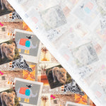 Popeline Coton Zoologic - Ribes y Casals