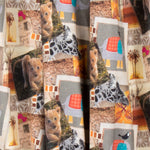 Popeline Coton Zoologic - Ribes y Casals