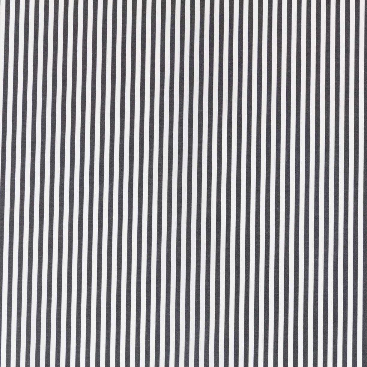 Popeline Chemise Marinière Noir - Ribes y Casals