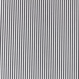 Popeline Chemise Marinière Noir - Ribes y Casals