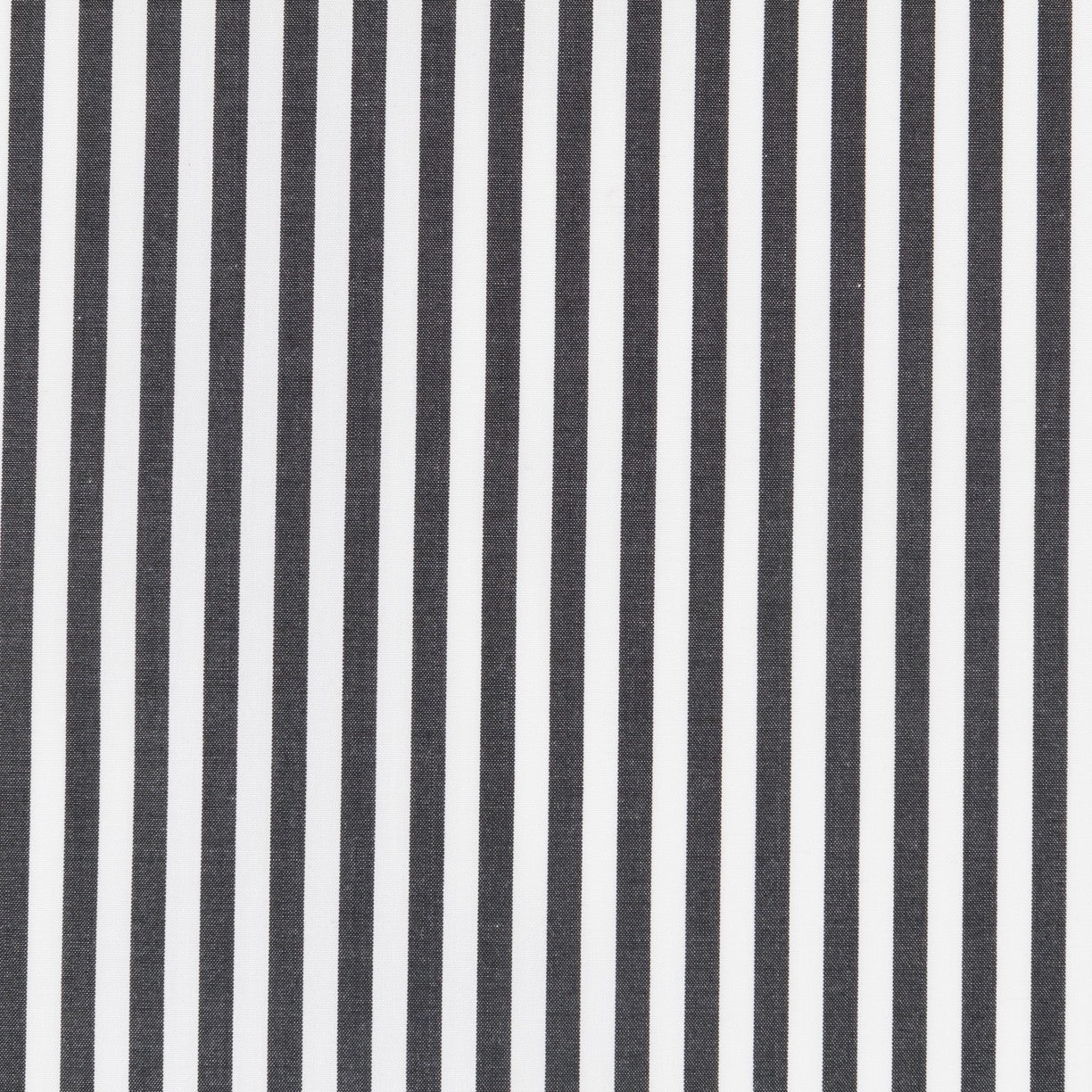 Popeline Chemise Marinière Noir - Ribes y Casals