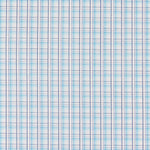 Popeline Chemise Traits Turquoise - Ribes y Casals