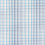 Popeline Chemise Traits Turquoise - Ribes y Casals