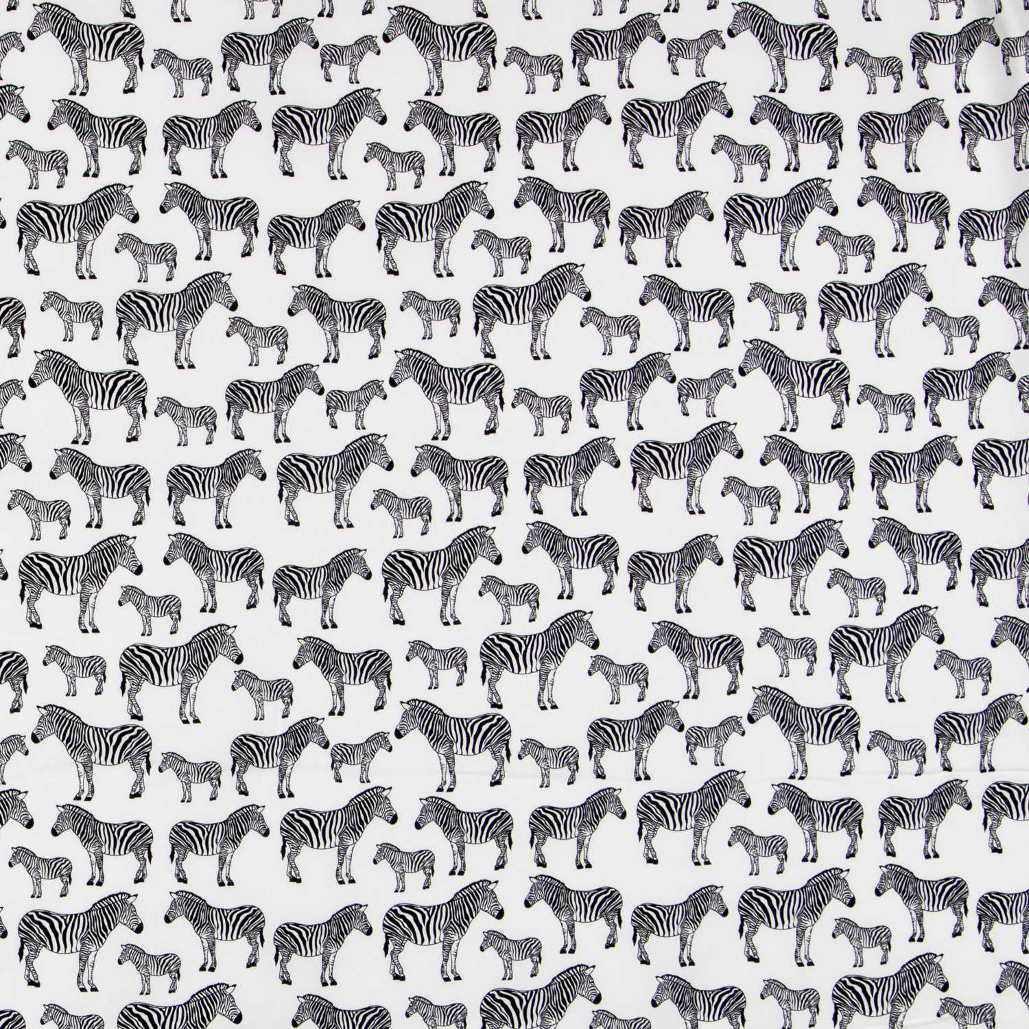 Popeline Zèbres Écru - Ribes y Casals