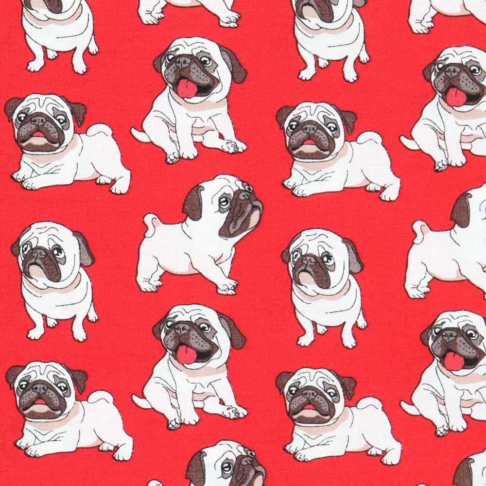 Popelin algodo - Ribes y Casals