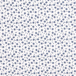 Popelin algodo - Ribes y Casals