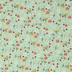 Popeline Organique Vert Menthe - Ribes y Casals