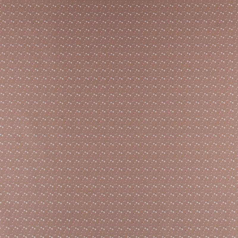 Popeline Enfant Libellule Marron - Ribes y Casals