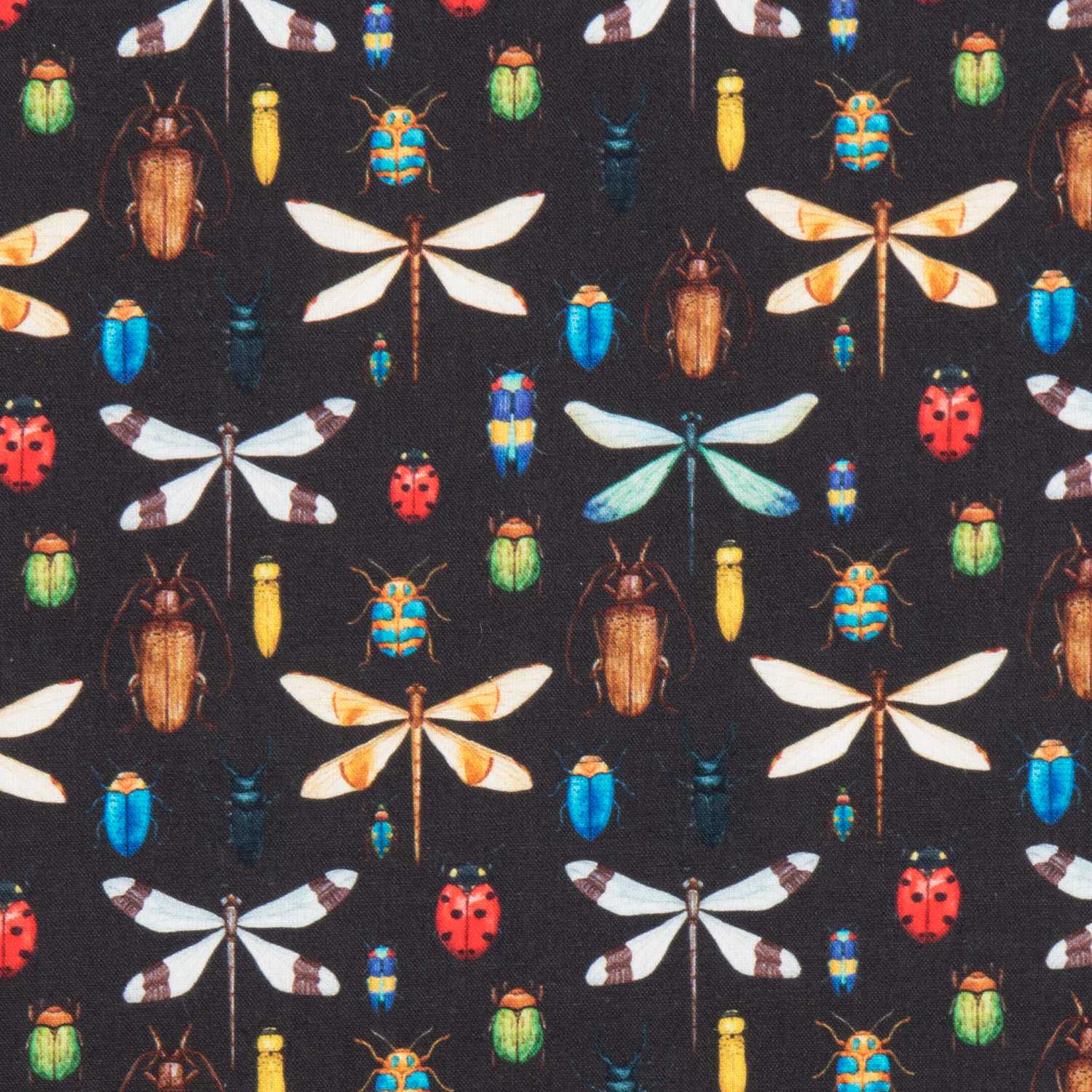 Popeline Coton Insecte Noir - Ribes y Casals